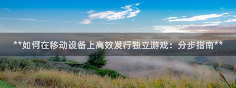 天辰平台招商111：**如何在移动设备上高效发行独立游戏：分步指南**