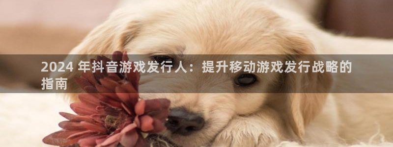 天辰平台连接：2024 年抖音游戏发行人：提升移动游戏发行战略的
指南
