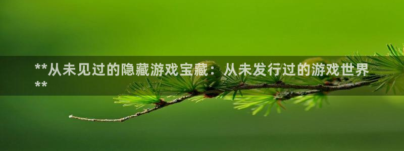 天辰娱乐平台账号注册地址是多少号：**从未见过的隐藏游戏宝藏：从未发行过的游戏世界
**