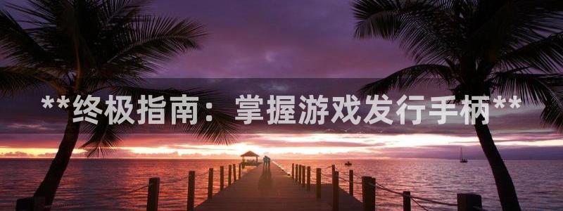 天辰平台招商1111是什么：**终极指南：掌握游戏发行手柄**
