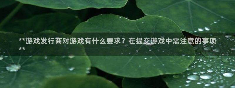 天辰平台用户登录失败什么原因：**游戏发行商对游戏有什么要求？在提交游戏中需注意的事项
**