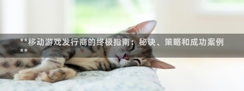 天辰会员注册链接在哪：**移动游戏发行商的终极指南：秘诀、策略和成功案例
**