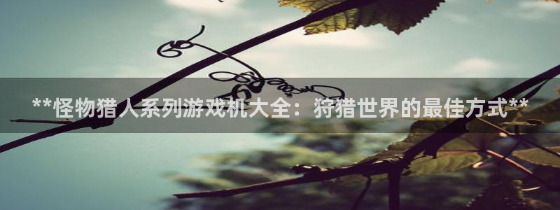 天辰平台障44262