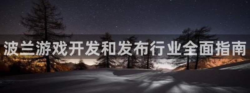 天辰娱乐还能玩吗?：波兰游戏开发和发布行业全面指南