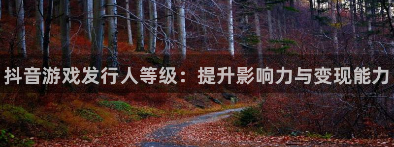 天辰正规注册通道安全：抖音游戏发行人等级：提升影响力与变现能力