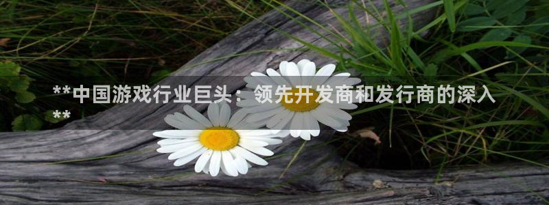 天辰娱乐代理注册平台登录系统错误：**中国游戏行业巨头：领先开发商和发行商的深入
**