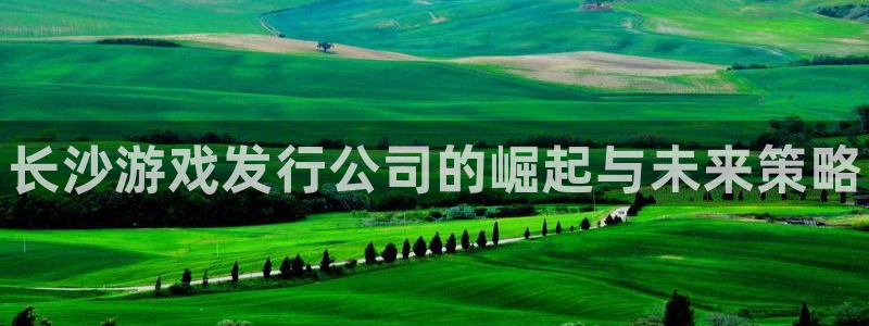 天辰平台直属授权注册点1i：长沙游戏发行公司的崛起与未来策略