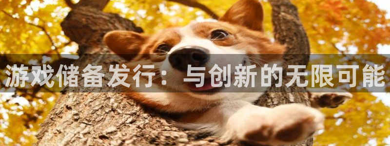 天辰平台西 5o69I7：游戏储备发行：与创新的无限可能