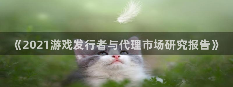 天辰平台专用通道安全稳定：《2021游戏发行者与代理市场研究报告》