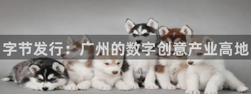 天辰平台注册登录地址在哪里找：字节发行：广州的数字创意产业高地